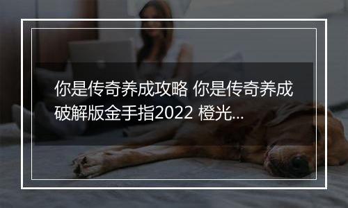 你是传奇养成攻略 你是传奇养成破解版金手指2022 橙光游戏你是传奇养成完美剧情攻略