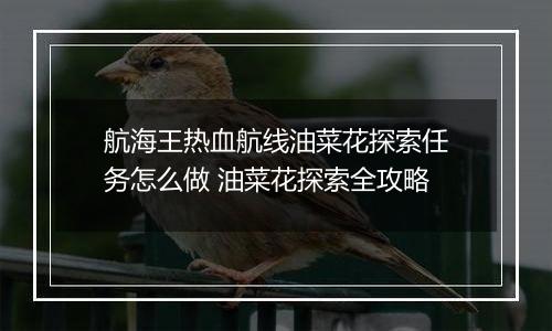 航海王热血航线油菜花探索任务怎么做 油菜花探索全攻略