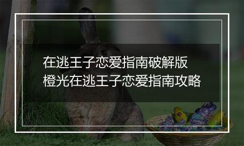 在逃王子恋爱指南破解版 橙光在逃王子恋爱指南攻略