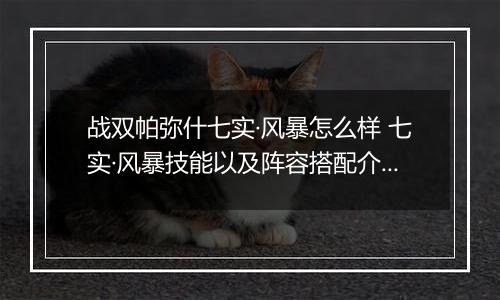 战双帕弥什七实·风暴怎么样 七实·风暴技能以及阵容搭配介绍