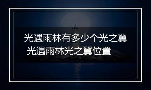 光遇雨林有多少个光之翼 光遇雨林光之翼位置