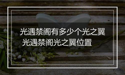 光遇禁阁有多少个光之翼 光遇禁阁光之翼位置