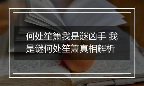 何处笙箫我是谜凶手 我是谜何处笙箫真相解析