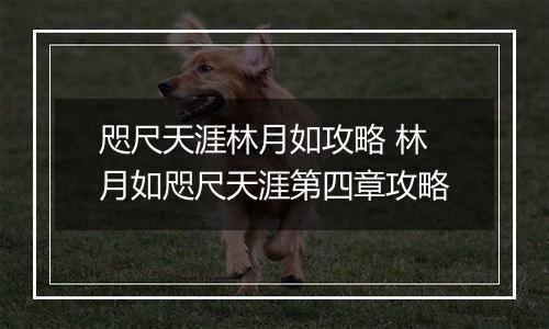 咫尺天涯林月如攻略 林月如咫尺天涯第四章攻略