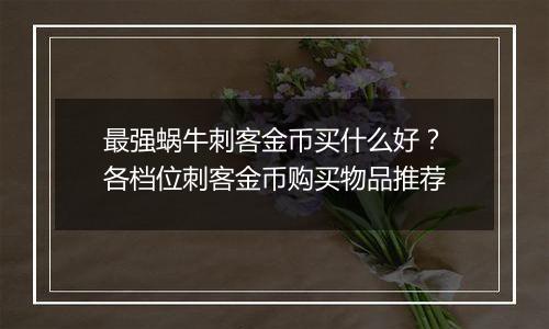 最强蜗牛刺客金币买什么好？各档位刺客金币购买物品推荐