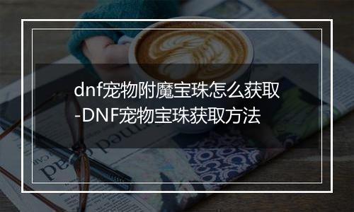 dnf宠物附魔宝珠怎么获取-DNF宠物宝珠获取方法