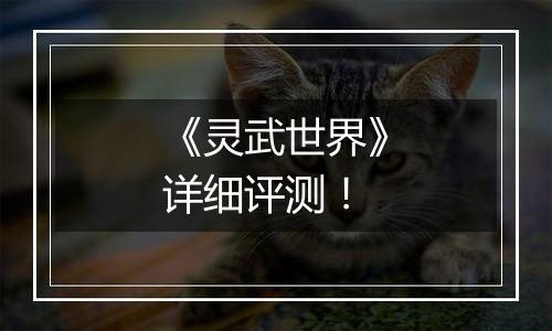 《灵武世界》详细评测！