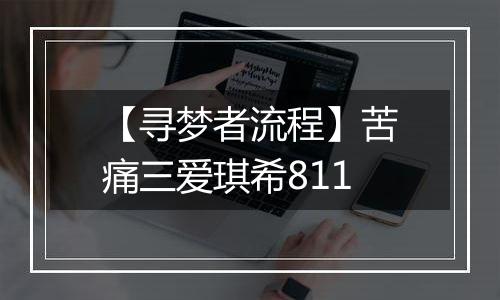 【寻梦者流程】苦痛三爱琪希811