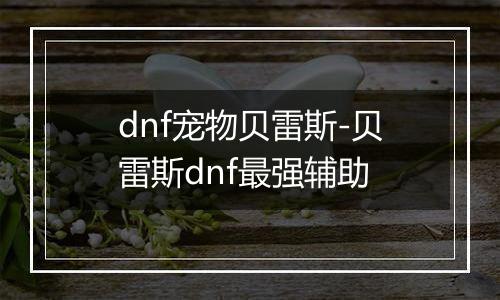 dnf宠物贝雷斯-贝雷斯dnf最强辅助