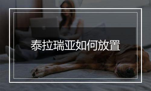 泰拉瑞亚如何放置