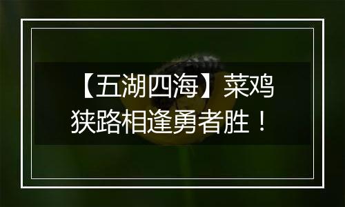 【五湖四海】菜鸡狭路相逢勇者胜！