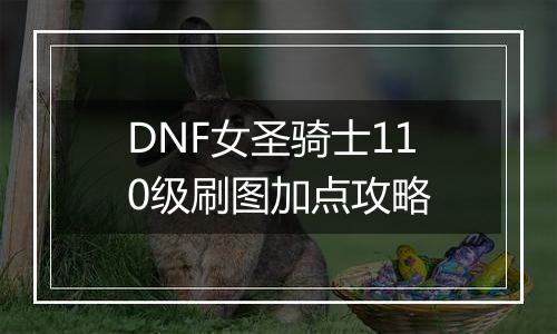 DNF女圣骑士110级刷图加点攻略
