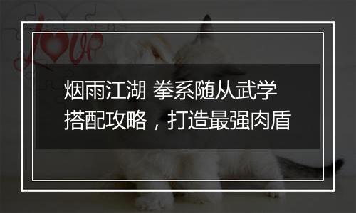 烟雨江湖 拳系随从武学搭配攻略，打造最强肉盾