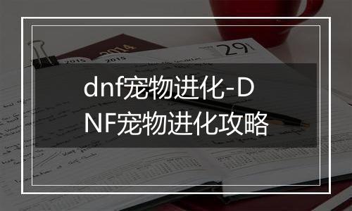 dnf宠物进化-DNF宠物进化攻略