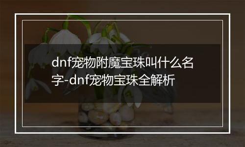 dnf宠物附魔宝珠叫什么名字-dnf宠物宝珠全解析