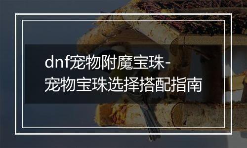 dnf宠物附魔宝珠-宠物宝珠选择搭配指南