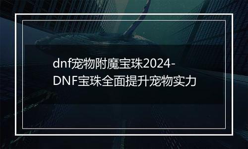 dnf宠物附魔宝珠2024-DNF宝珠全面提升宠物实力