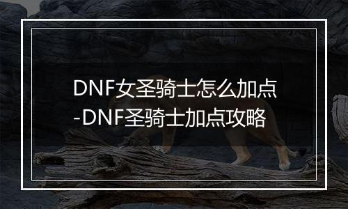 DNF女圣骑士怎么加点-DNF圣骑士加点攻略