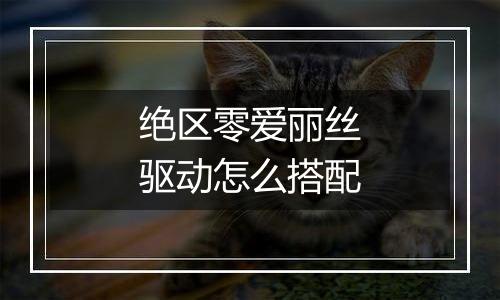 绝区零爱丽丝驱动怎么搭配