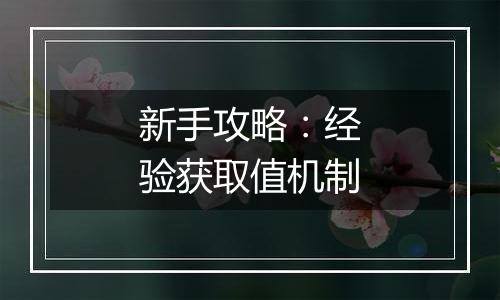 新手攻略：经验获取值机制