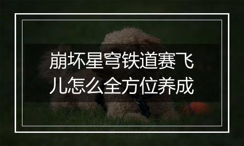 崩坏星穹铁道赛飞儿怎么全方位养成