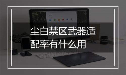 尘白禁区武器适配率有什么用