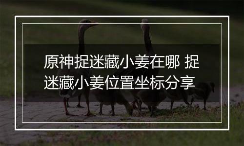 原神捉迷藏小姜在哪 捉迷藏小姜位置坐标分享