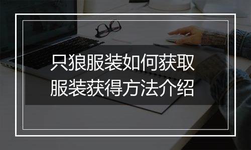 只狼服装如何获取 服装获得方法介绍