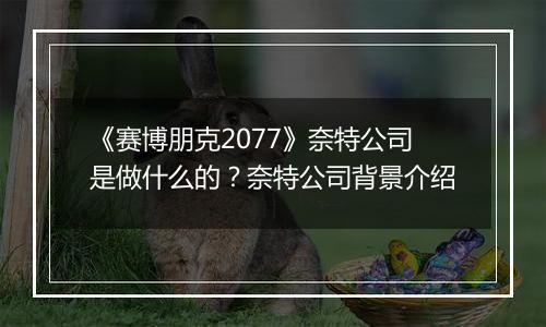 《赛博朋克2077》奈特公司是做什么的？奈特公司背景介绍
