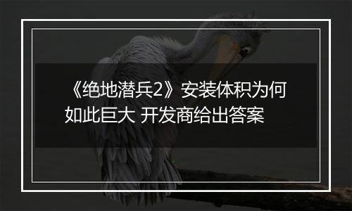 《绝地潜兵2》安装体积为何如此巨大 开发商给出答案