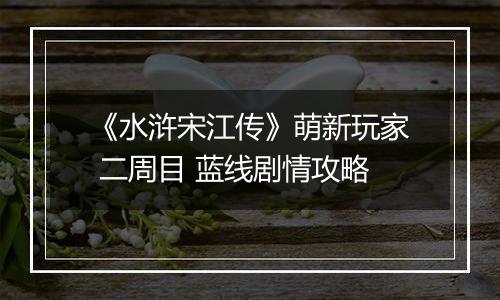 《水浒宋江传》萌新玩家 二周目 蓝线剧情攻略
