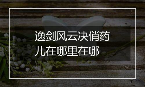 逸剑风云决俏药儿在哪里在哪