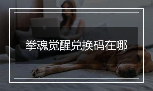 拳魂觉醒兑换码在哪