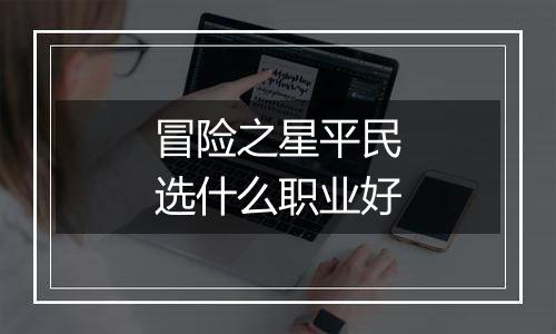 冒险之星平民选什么职业好