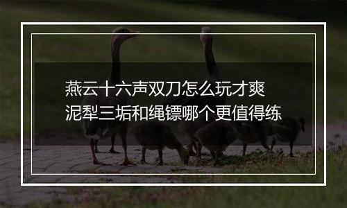 燕云十六声双刀怎么玩才爽 泥犁三垢和绳镖哪个更值得练