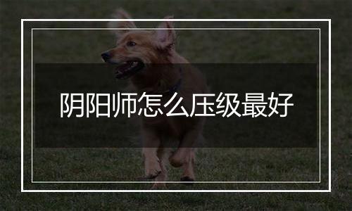 阴阳师怎么压级最好