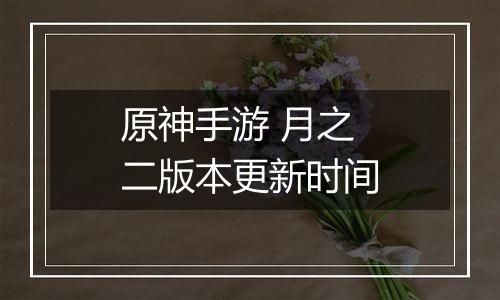 原神手游 月之二版本更新时间