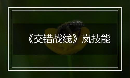 《交错战线》岚技能