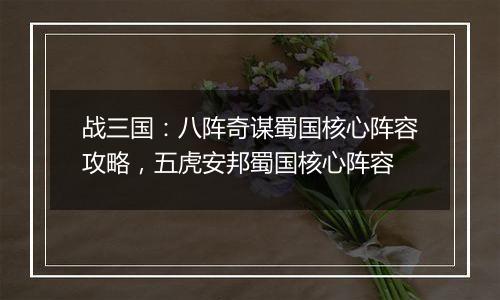 战三国：八阵奇谋蜀国核心阵容攻略，五虎安邦蜀国核心阵容