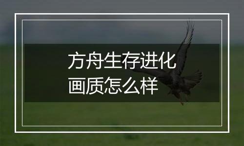 方舟生存进化画质怎么样