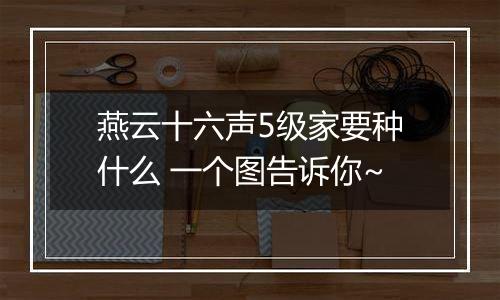 燕云十六声5级家要种什么 一个图告诉你~