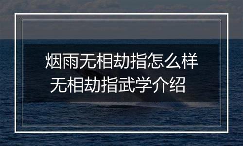 烟雨无相劫指怎么样 无相劫指武学介绍