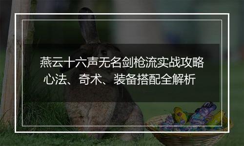 燕云十六声无名剑枪流实战攻略 心法、奇术、装备搭配全解析
