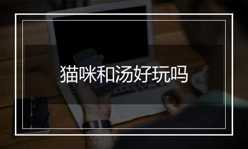 猫咪和汤好玩吗