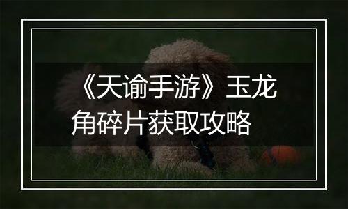 《天谕手游》玉龙角碎片获取攻略