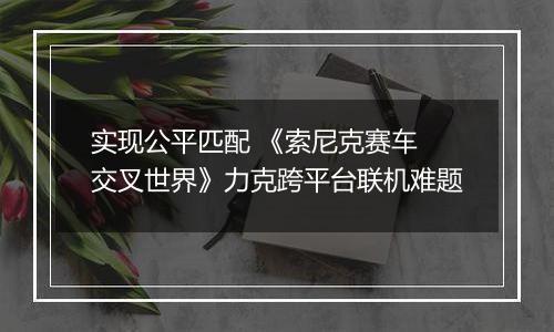 实现公平匹配 《索尼克赛车 交叉世界》力克跨平台联机难题