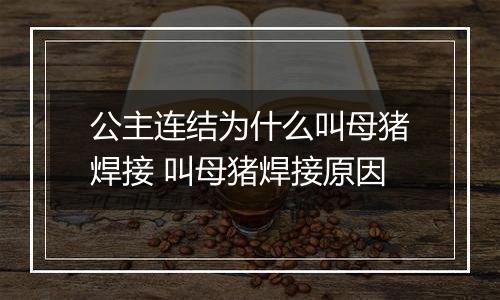 公主连结为什么叫母猪焊接 叫母猪焊接原因