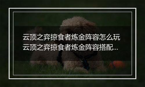 云顶之弈掠食者炼金阵容怎么玩 云顶之弈掠食者炼金阵容搭配推荐