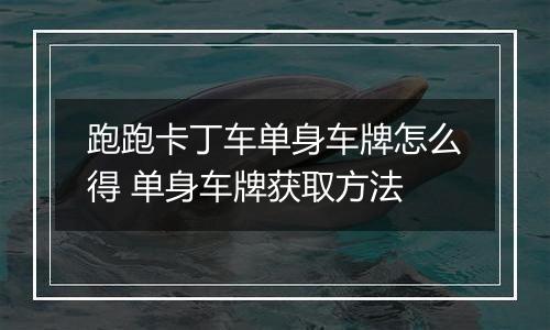 跑跑卡丁车单身车牌怎么得 单身车牌获取方法