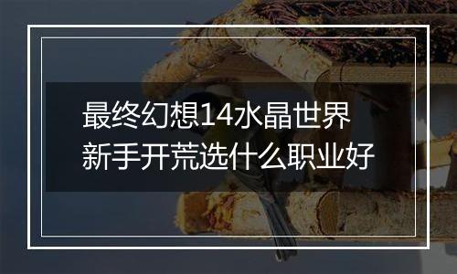 最终幻想14水晶世界新手开荒选什么职业好
